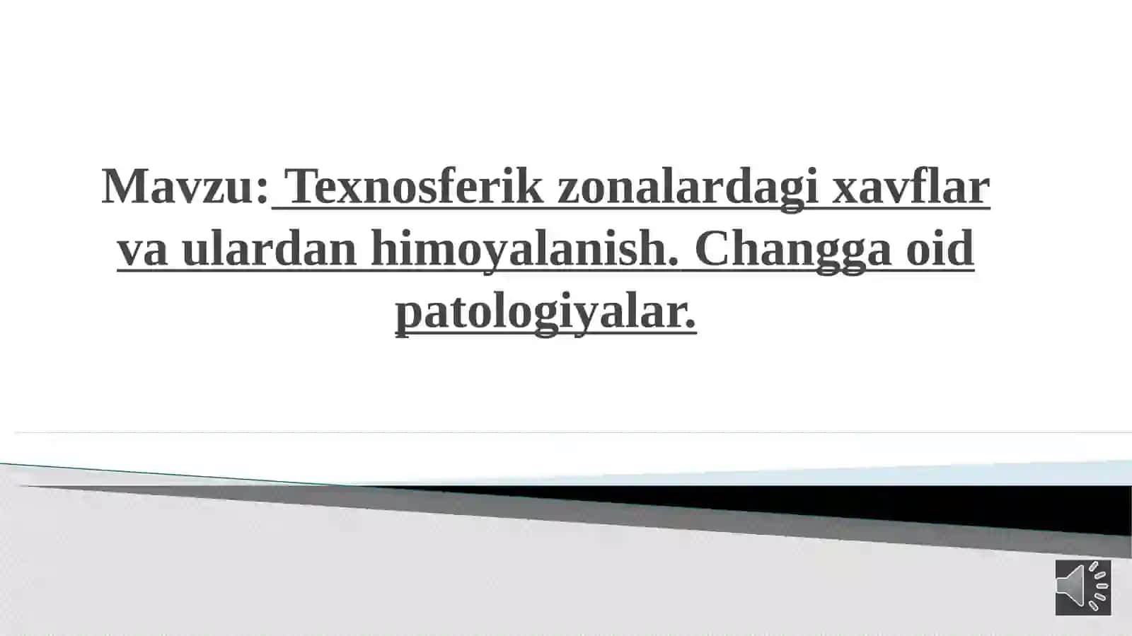 Texnosferik zonalardagi xavflar va ulardan himoyalanish. Changga oid patologiyalar 2