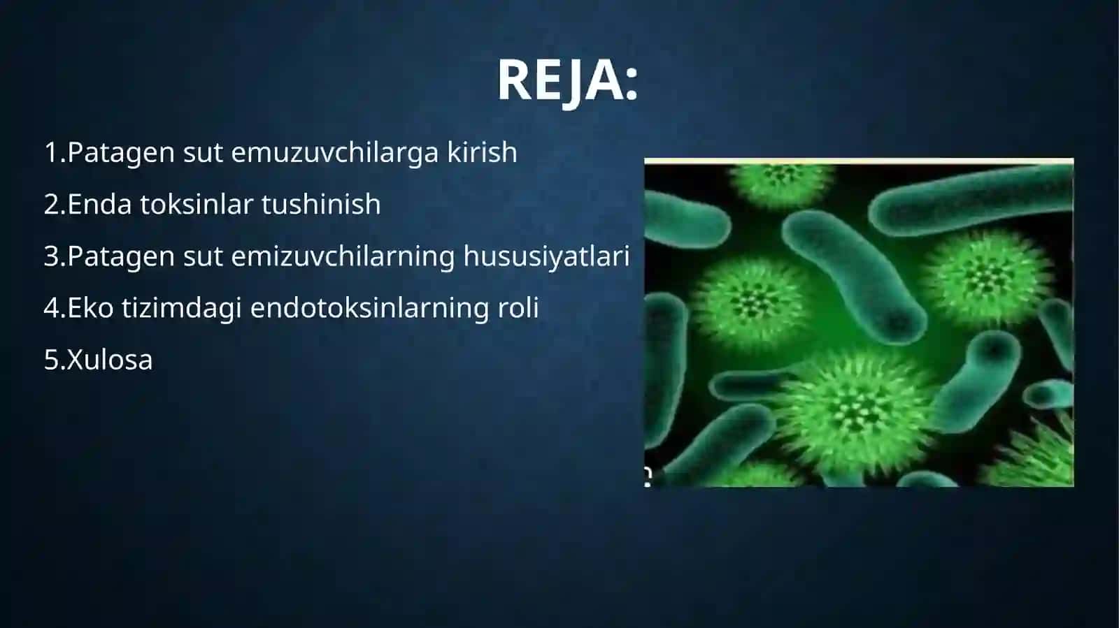 PATAGEN MIKROBLARGA HARAKTERISTIKA EGZO VA ENDO TOKSINLAR ULARGA HARAKTISTIKA 2