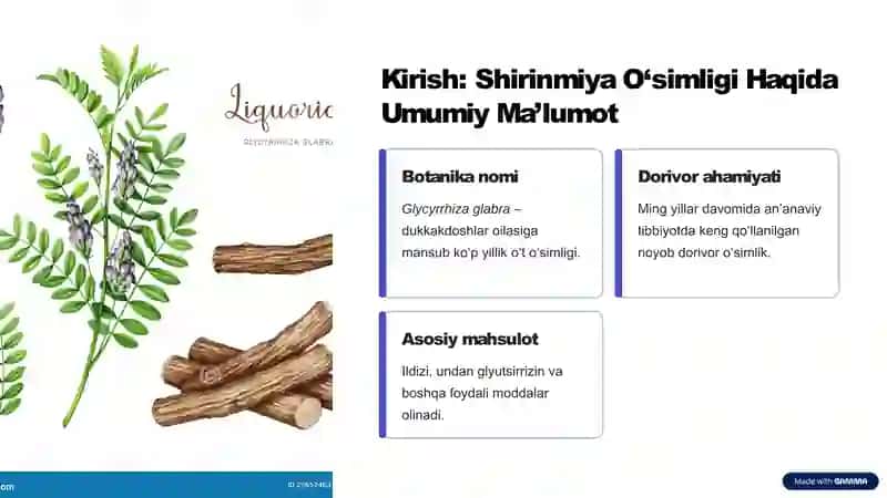 Dorivor-Shirinmiya-Glycyrrhiza-glabra-Introduksiya-va-Madaniylashtirish-Imkoniyatlar 2