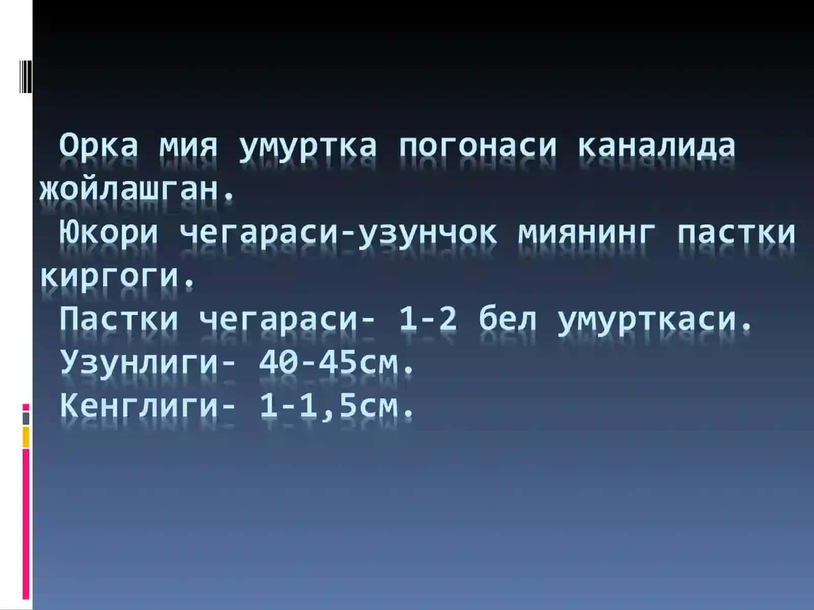 orqa miya va miya asosi Орка мия 2