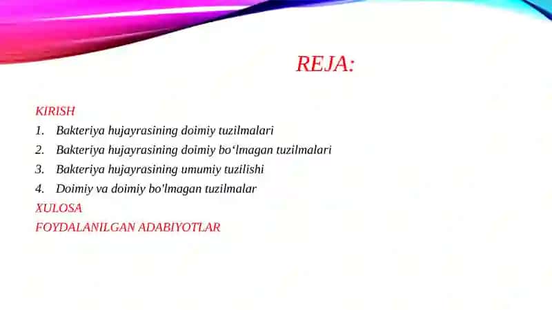 Bakteriya hujayralarining tuzilishi,doimiy bo'lgan va doimiy bo'lmagan bakterya tuzilmalari,kimyoviy tarkibi,Gramm musbat Va Gramm manfiy bakteriyalarni tuzilishi 2