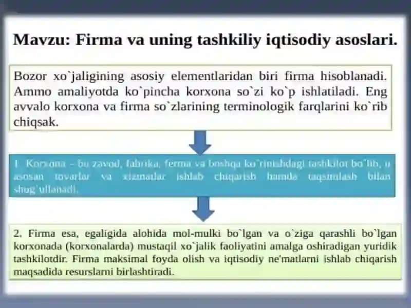 Firmavaularning tashkiliy-iqtisodiyasoslari 2