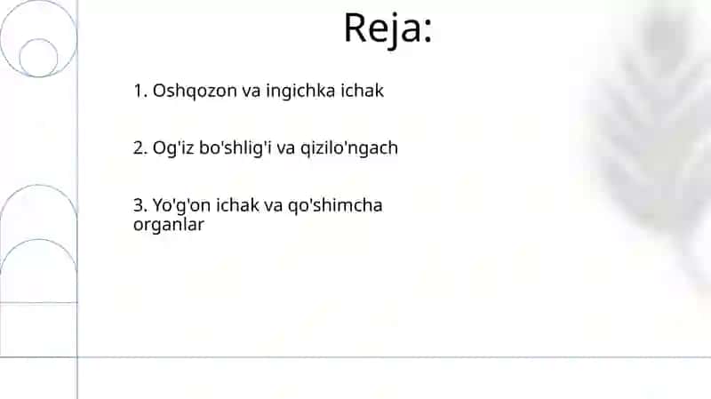 Ovqat hazm qilish tizimi 2