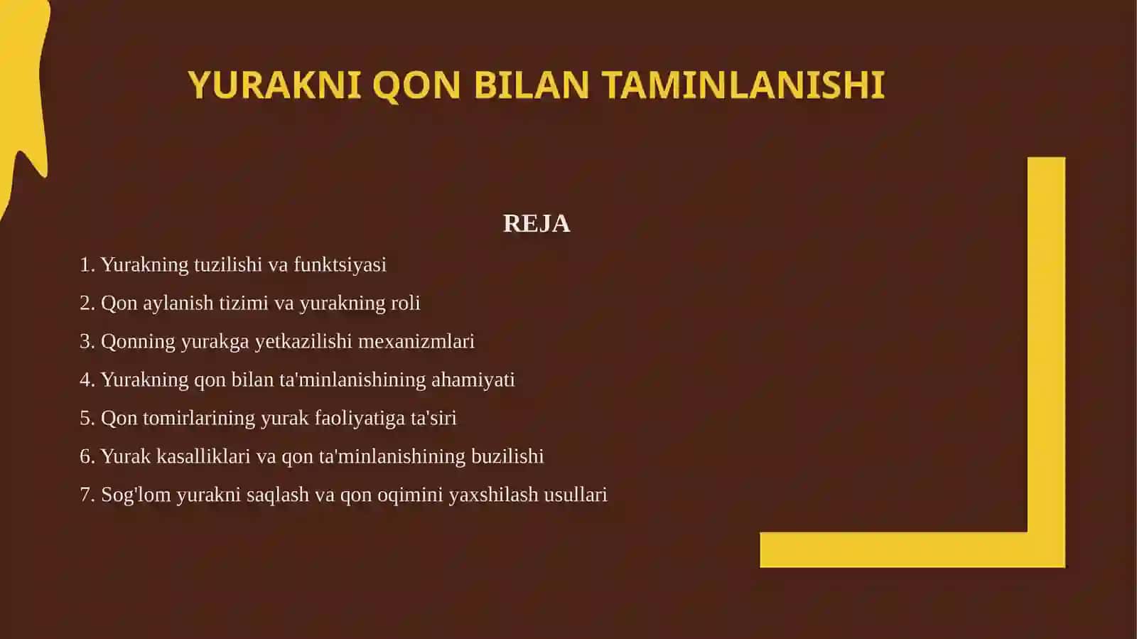 Yurakni qon bilan taminlanishi 2