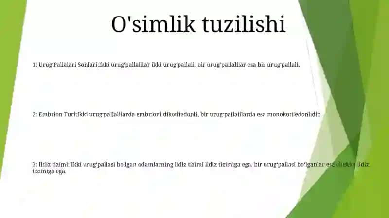 Ikki UrugʻPallalilar Va Bir UrugʻPallalilar Vakillari Orasidagi Farqli Belgilar 2