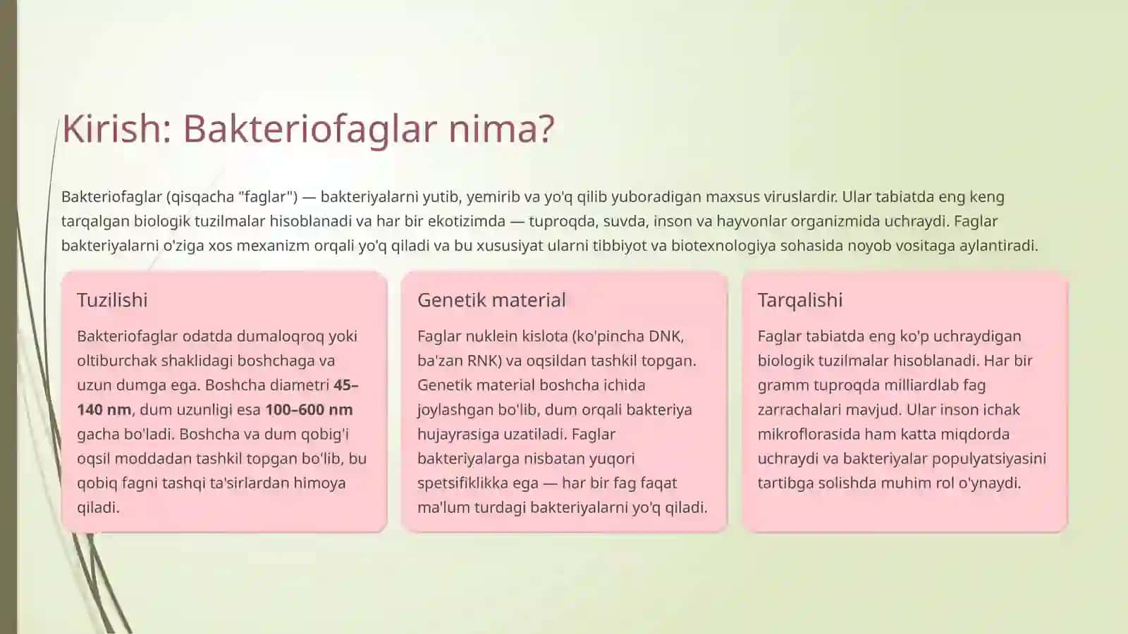 Bakteriofaglarning bakteriyalarga ta'siri 2