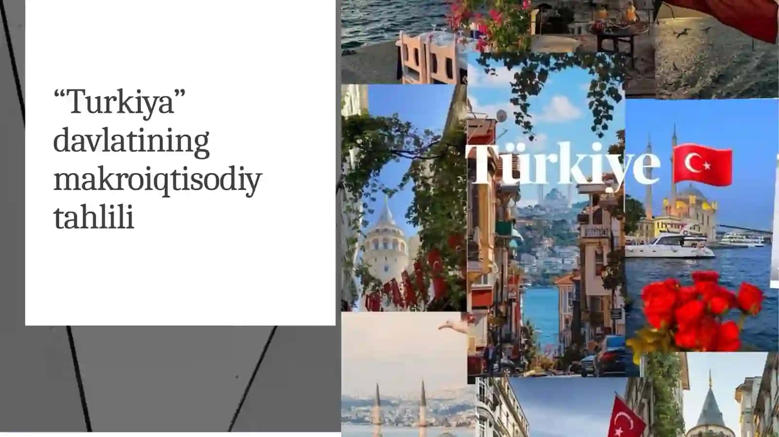 “Turkiya”davlatiningmakroiqtisodiytahlili 2