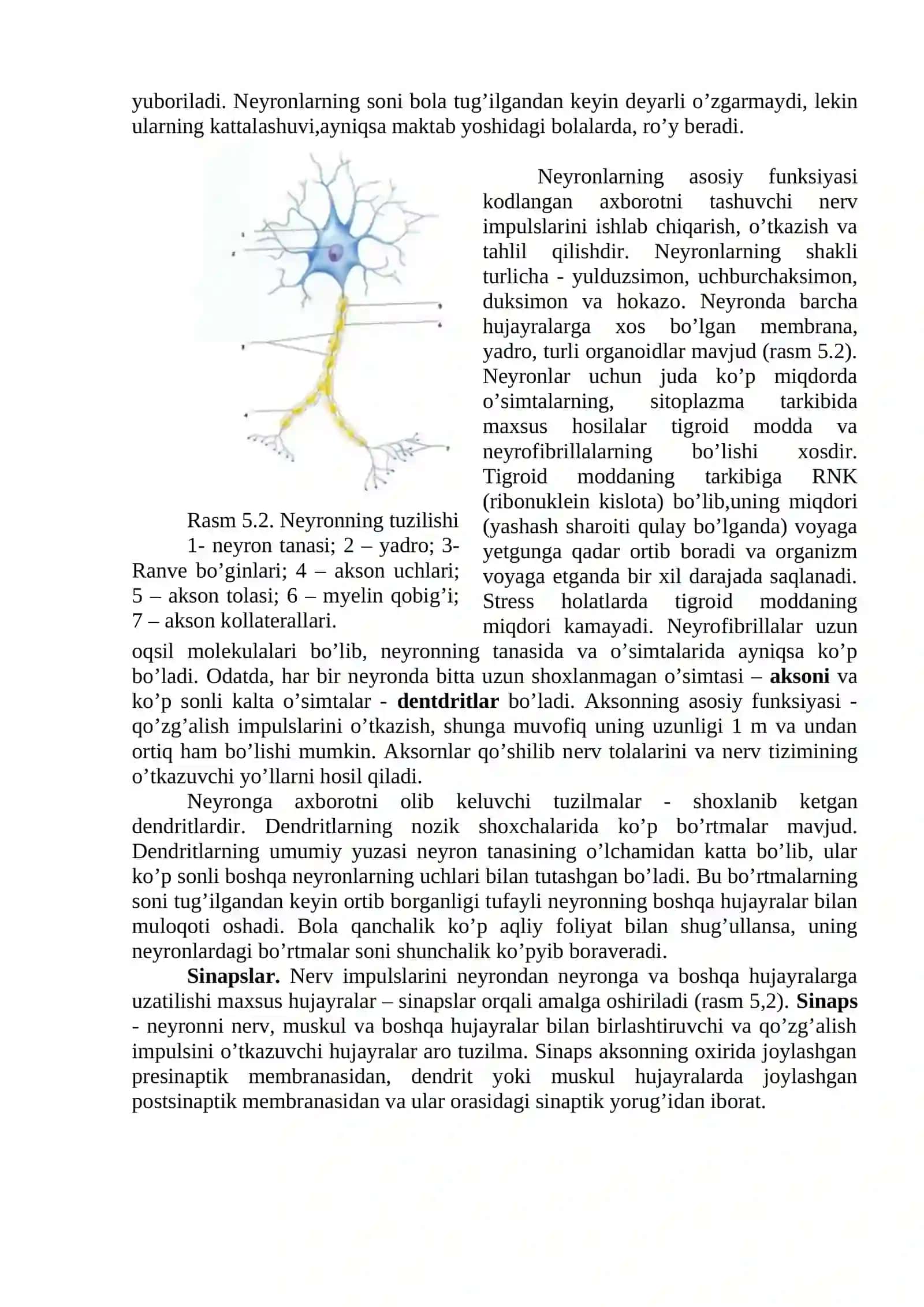 Nеrv tizimining yoshga oid fiziologiyasi va gigienasi 2