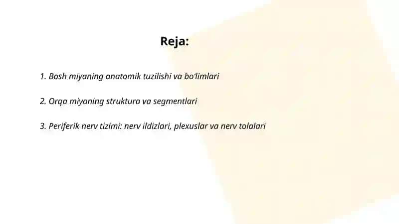 Bosh miya orqa miya periferik vegetativ nerv sestemasi 2
