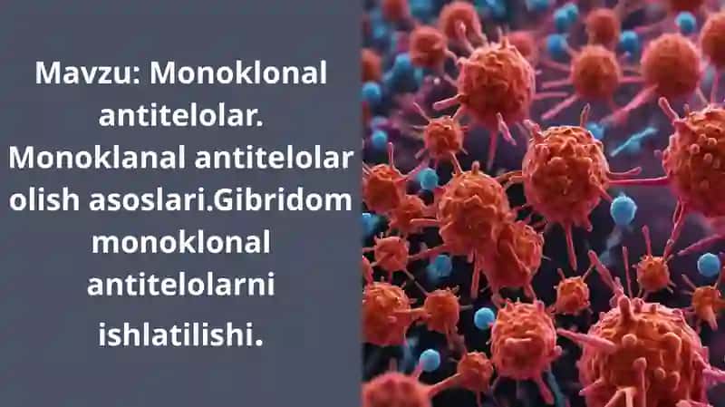 Monoklonal antitana 2