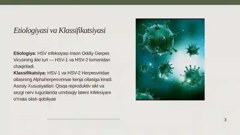 Oʼtkir gerpes va sitomegalovirus 2