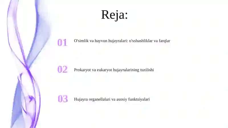 O'simlik va hayvon hujayralari: o'xshashliklar va farqlar 2