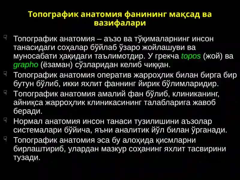 Топографиканатомия 2