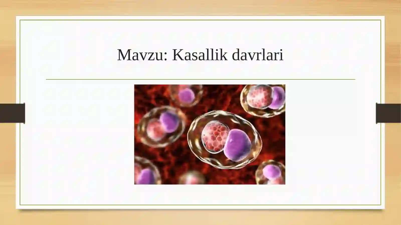 ALIBOYEVA DILDORANING ANATOMIYA FANIDAN TAYYORLAGAN TAQDIMOTI 2