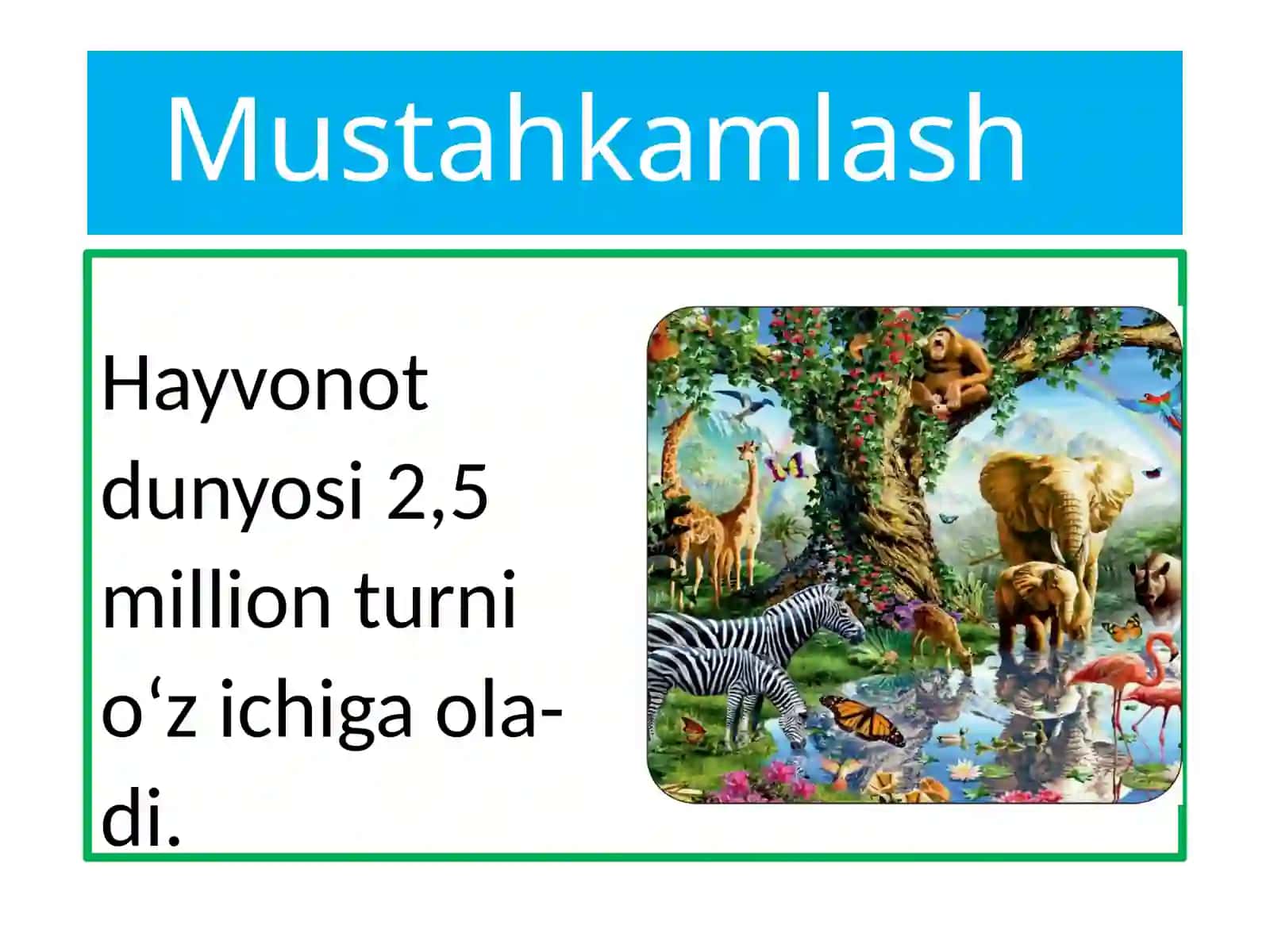 Biologiya; Umurtqasiz hayvonlar 2