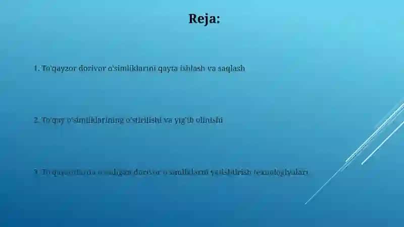 To'qayzorlarda tarqalgan dorivor o'simliklarni yetishtirish texnologiyasi 2