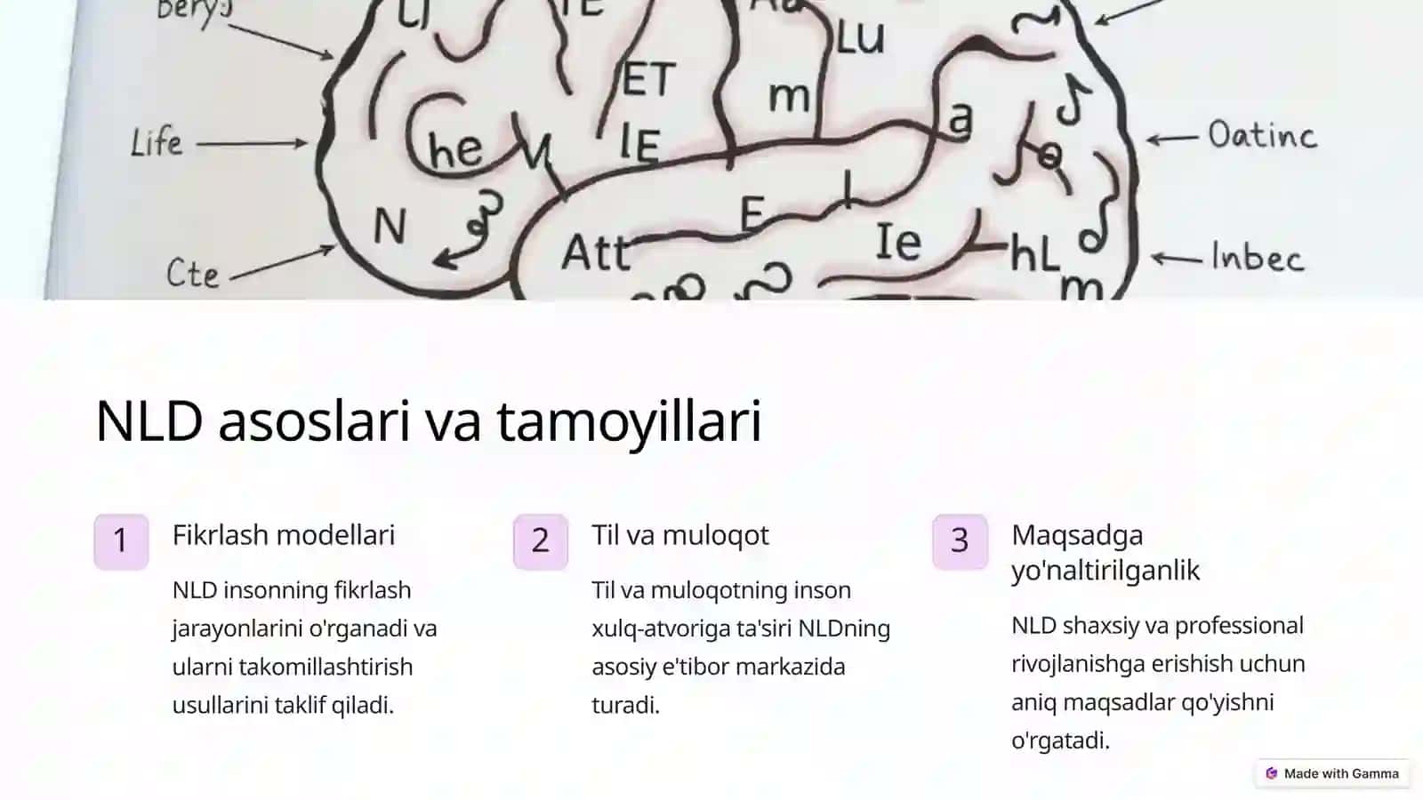 Neyrolingvistik dasturlashtirish 2