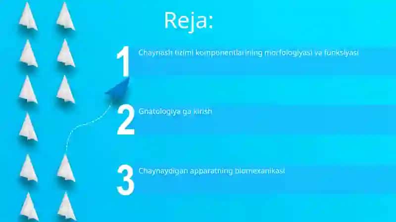 Gnatalogiya.Tish jag' sistemasining morfofunksional elementlari va ularning o'zaro bog'liqligi, chaynash apparati biomexanikasi 2