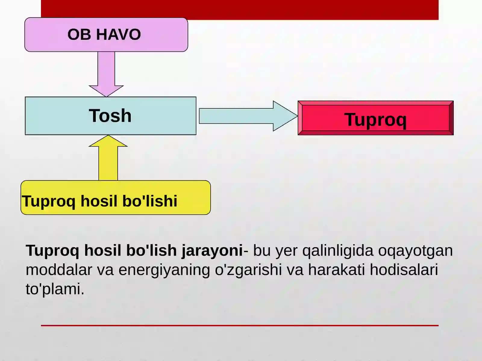 Tuproqni hosil qiluvchi omillar 2