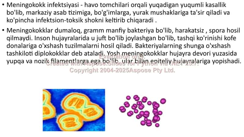 Meningokokk infektsiyasi 2