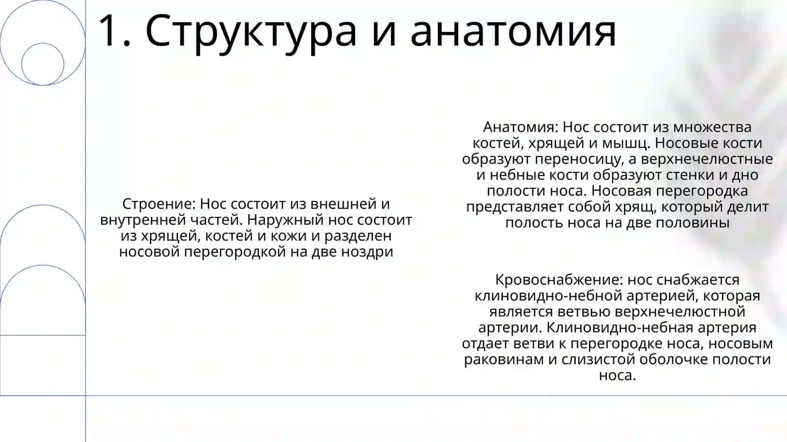 Нос 2