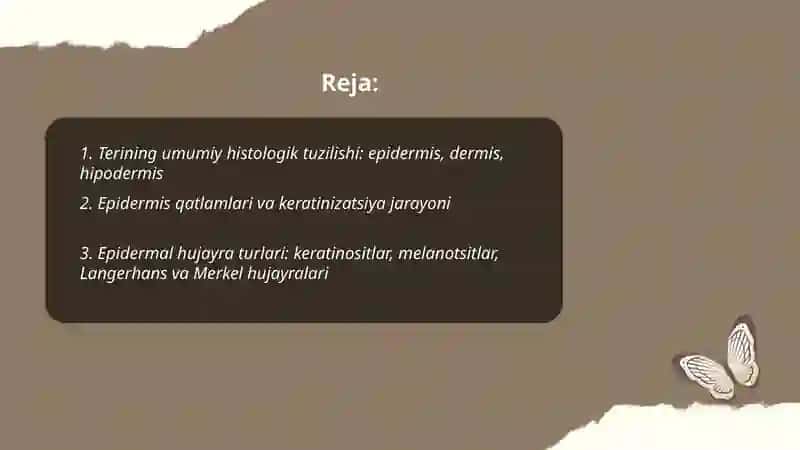 Sezgi organlari.Teri gistalogiyasi 2