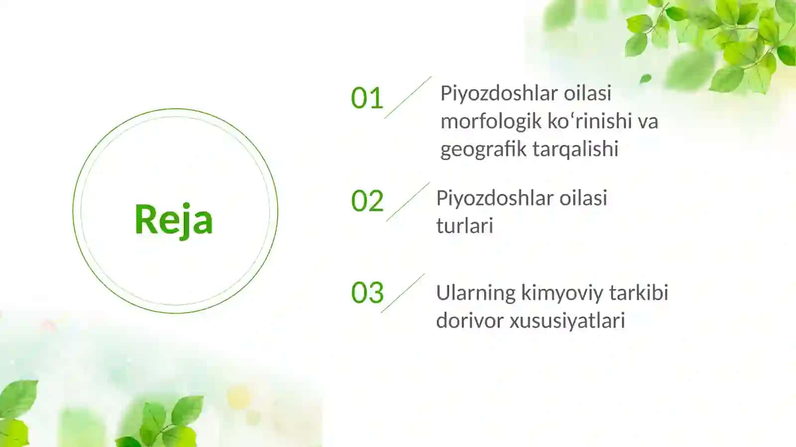 Piyozdoshlar oilasini turkum turlari 2