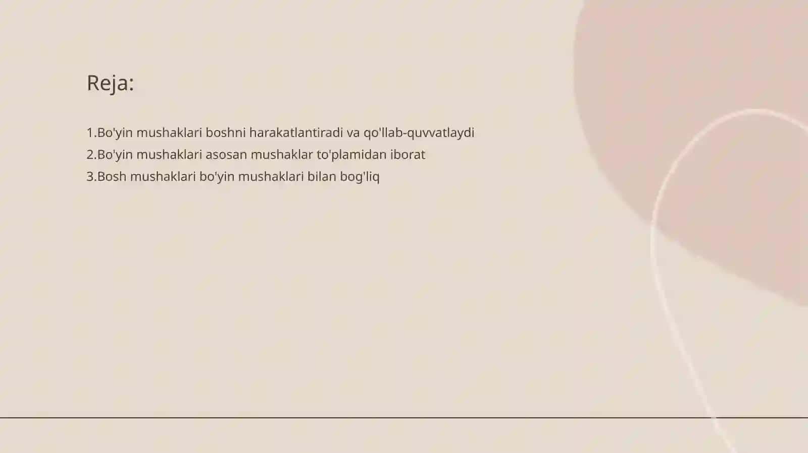 Bo'yin mushaklari fiziologiyasi 2