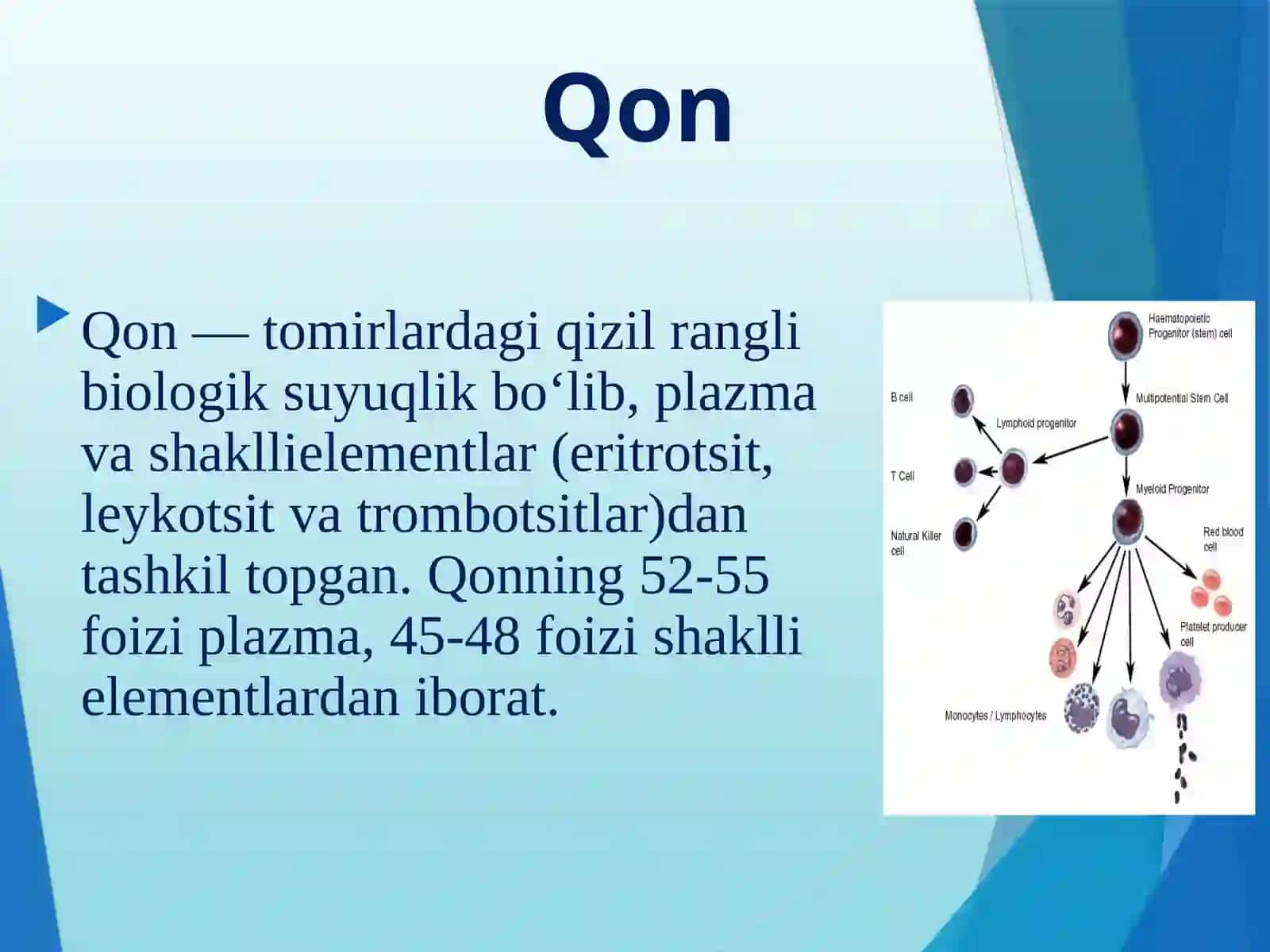 Amaliymashg’ulot№9Bolalarda qon va qon yaratuvchi tizimi va periferik limfatik tizimlarning anatomo-fiziologik hususiyatlari.Tekshirish usullari 2