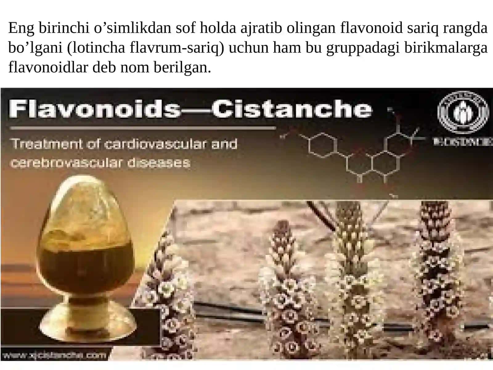 Flavonoidlar haqida umumiy tushuncha, tasnifi 2