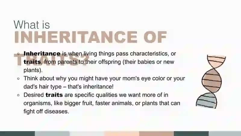 Technology and Inheritance of Traits
Science Presentation in Neutrals 2