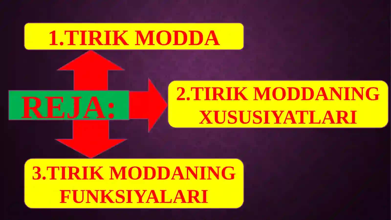 BIOSFERADAGI TIRIK MODDANING XUSUSIYATLARI VA FUNKSIYALARI 2