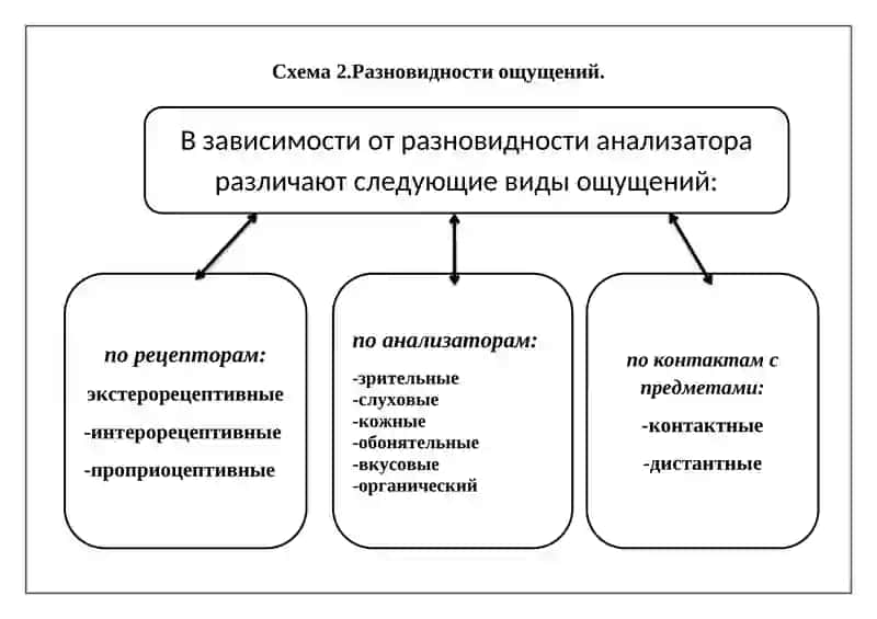 ВИДЫ ОЩУЩЕНИЙ 2