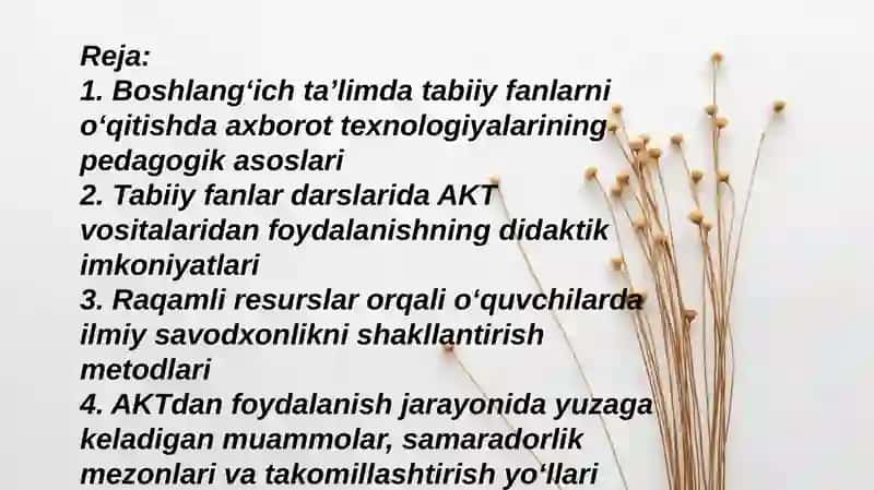 Boshlangʻich taʼlim tabiiy fanlar darslarida axborot texnologiyalaridan foydalanish 2
