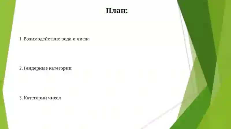 Категории рода и числа 2