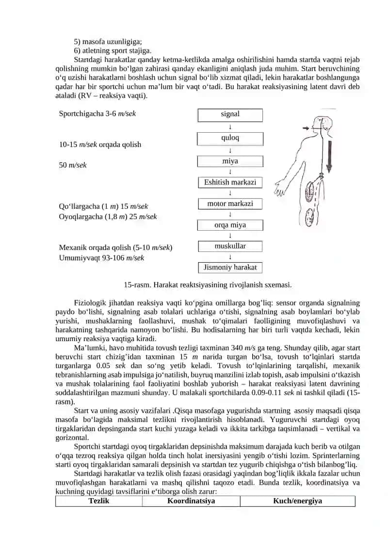 Qisqa masofalarga yugurish texnikasi 2