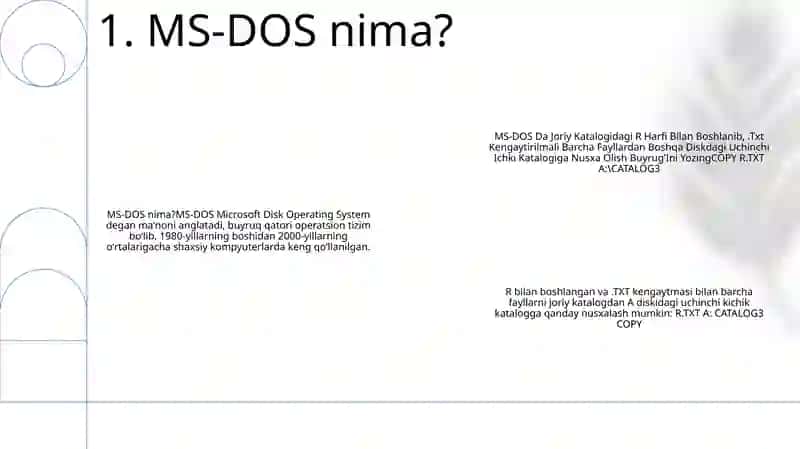 MS-DOS 2