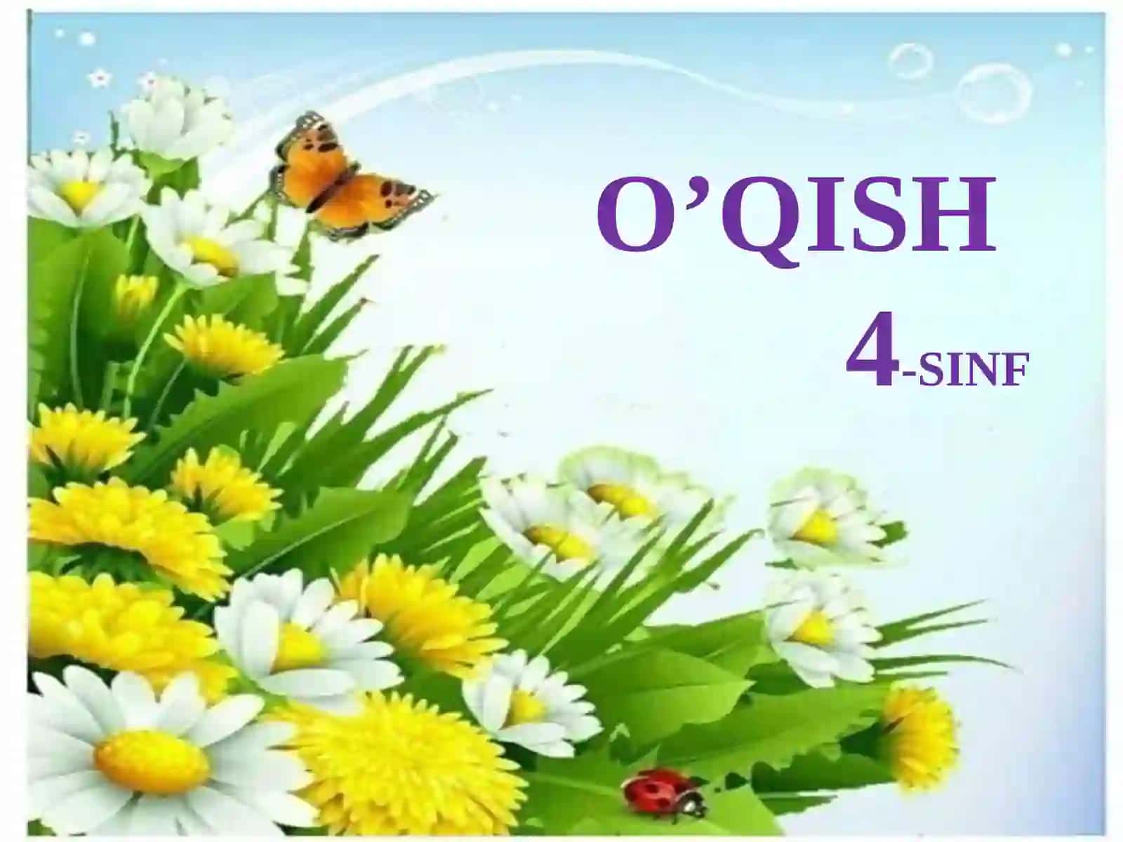DARSNING OLTIN QOIDALARI 2