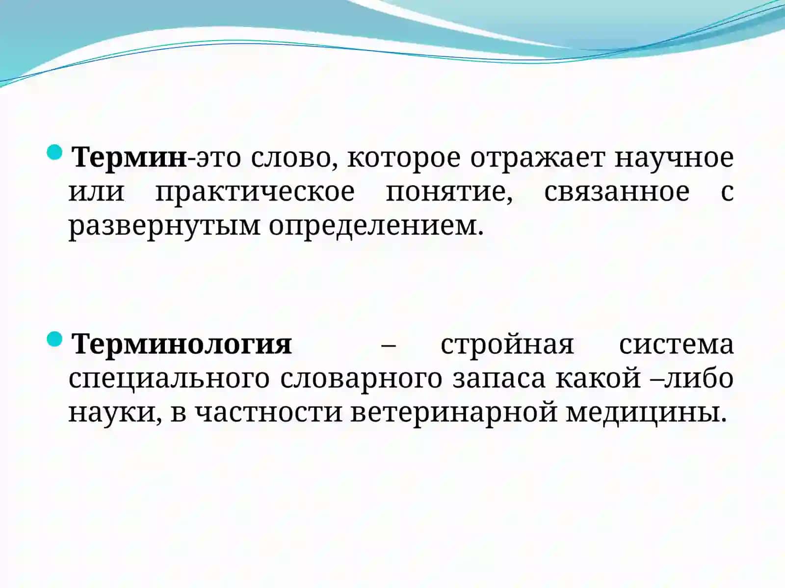 Терминология 2