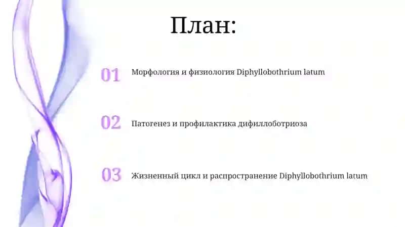 Diphyllobothrium latum 2