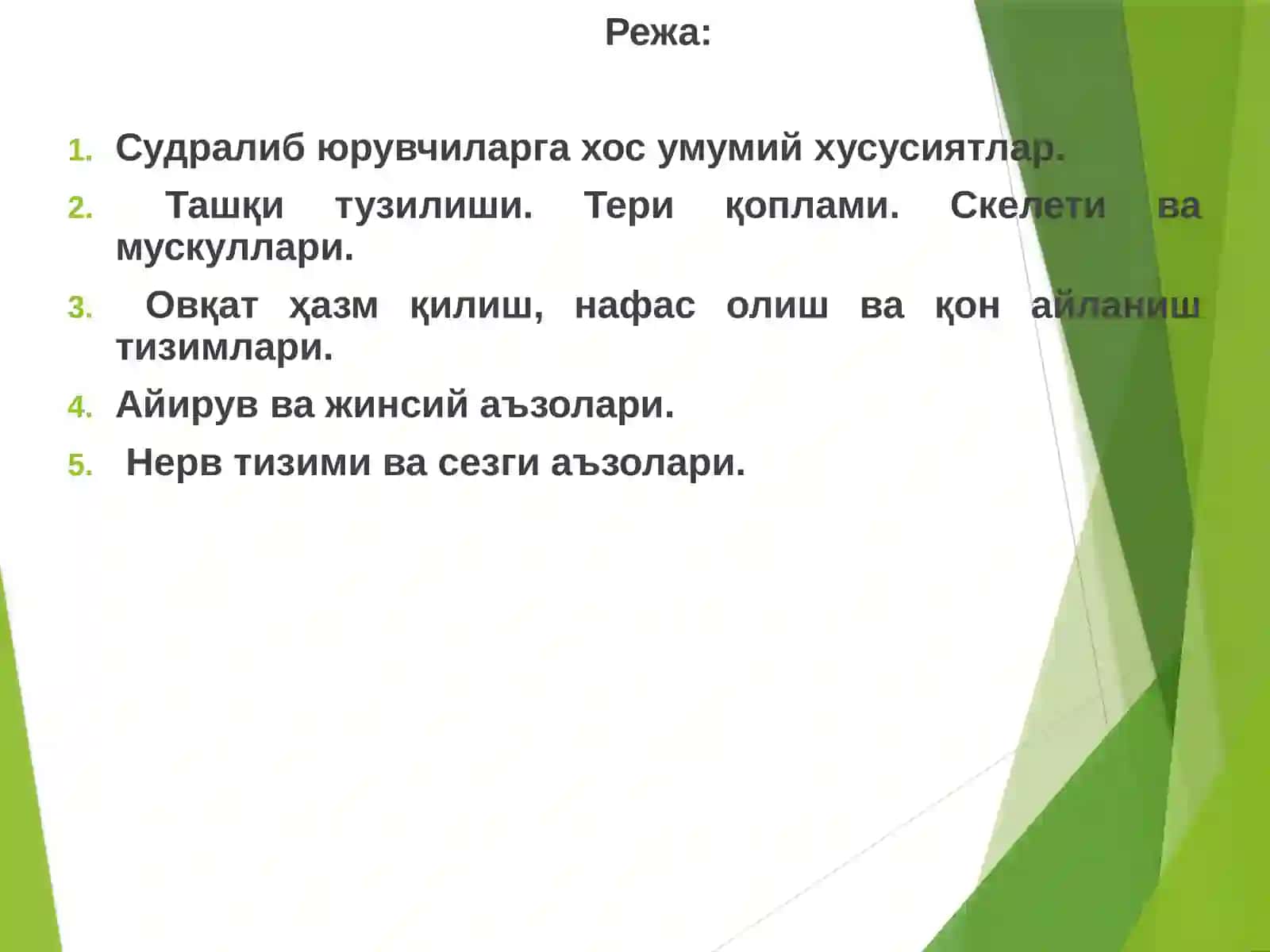 Судралиб юрувчилар – Reptilia синфи 2
