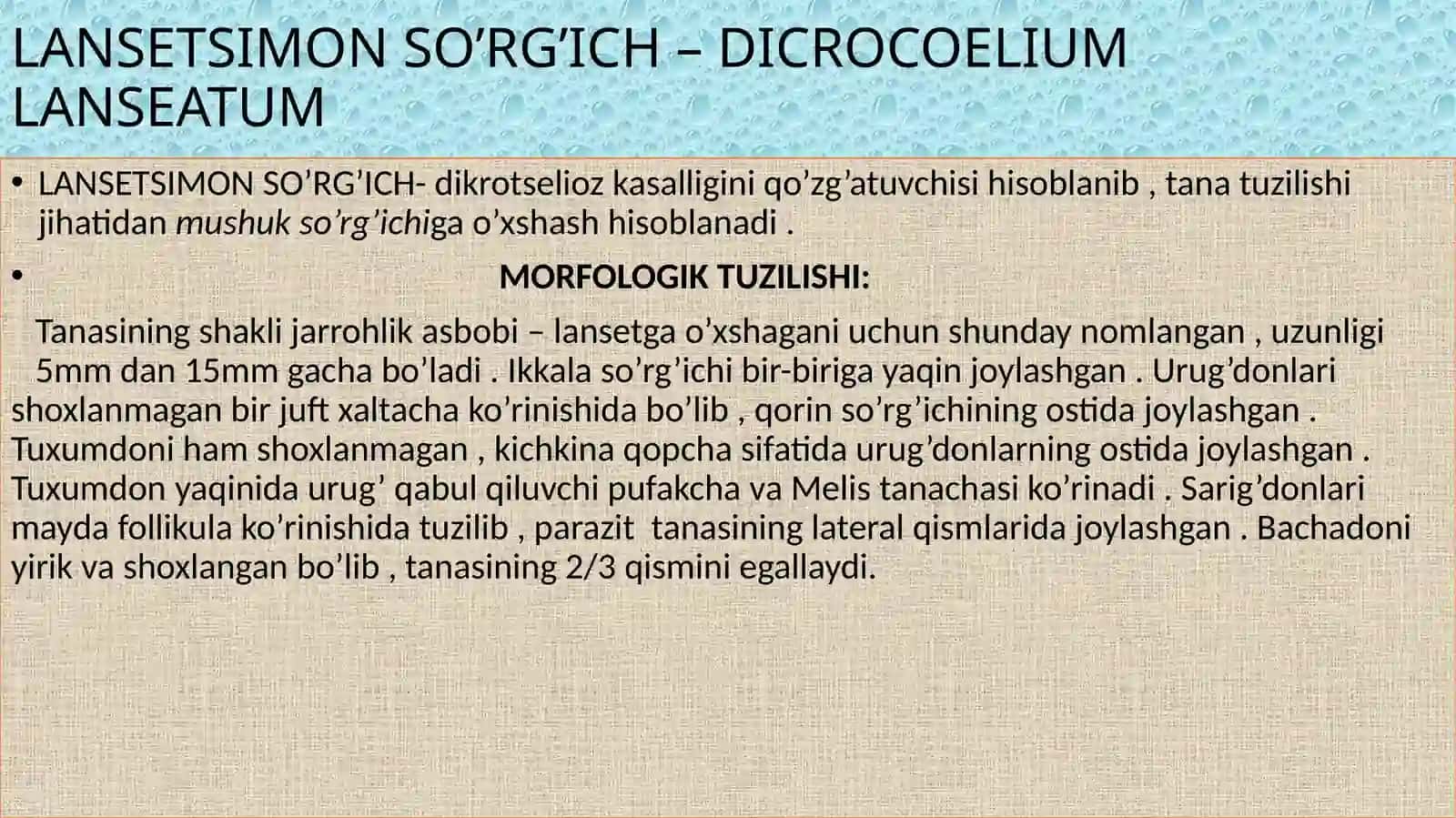 ODAMDA PARAZITLIK QILUVCHI SO’RG’ICHLILAR (O’PKA QURTI , LANSETSIMON SO’RG’ICH , QON QURTI) 2