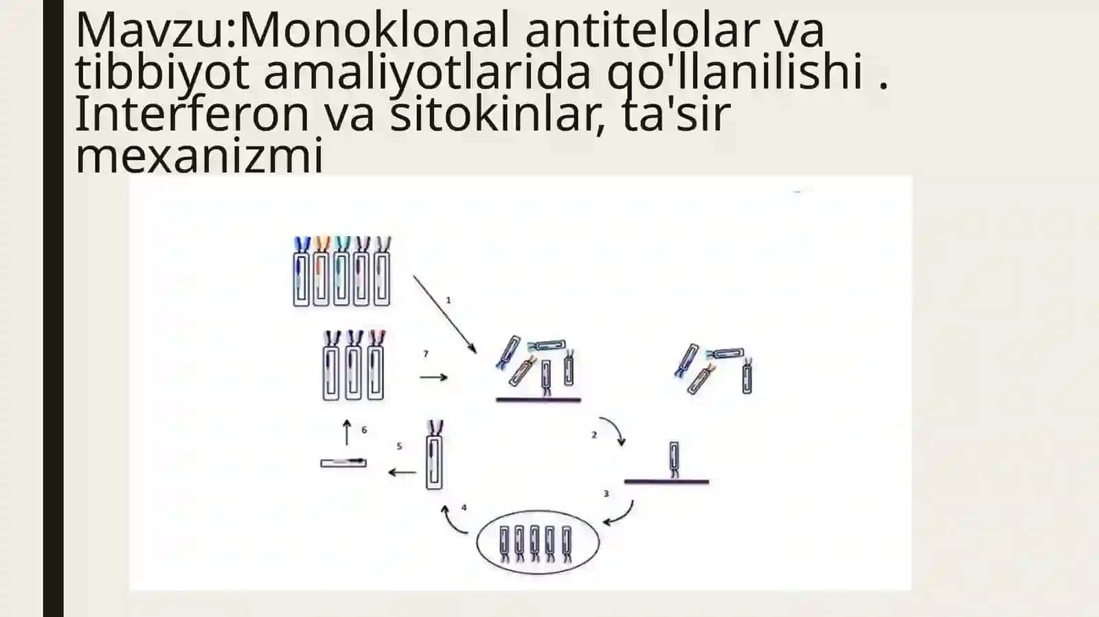 Monoklonal antitelolar va tibbiyot amaliyotlarida qo'llanilishi. Interferon va sitokinlar, ta'sir mexanizmi 2