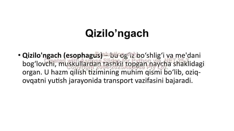 Qizilo'ngach, oshqozon va o‘n ikki barmoqli ichakning radiologik tekshirish usullari 2