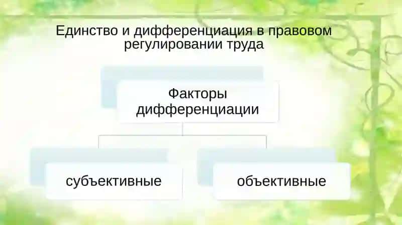Основы трудового законодательства в фармацевтических организациях 2