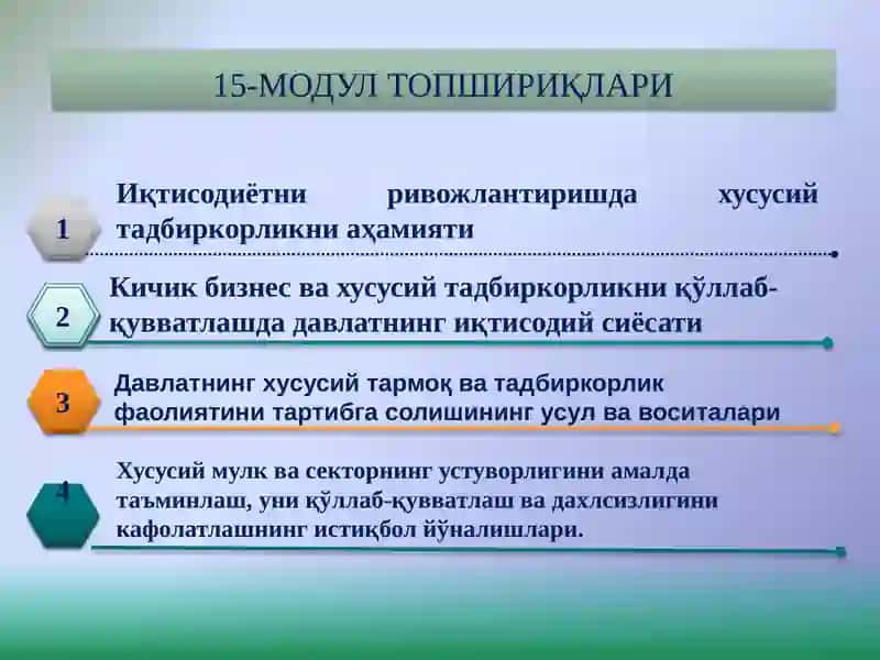 O‘zbеkistonda kichik biznеs va xususiy tadbirkorlik faoliyatining davlat tomonidan tartibga solinishi 2