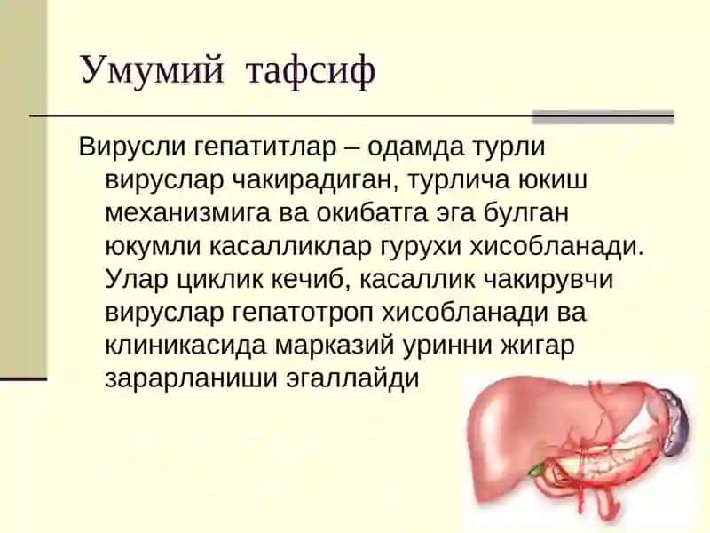 ВИРУСЛИГЕПАТИТЛАР 2