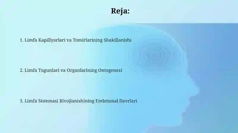 Limfa tizimi rivojlanishi va embriologik xususiyatlari 2