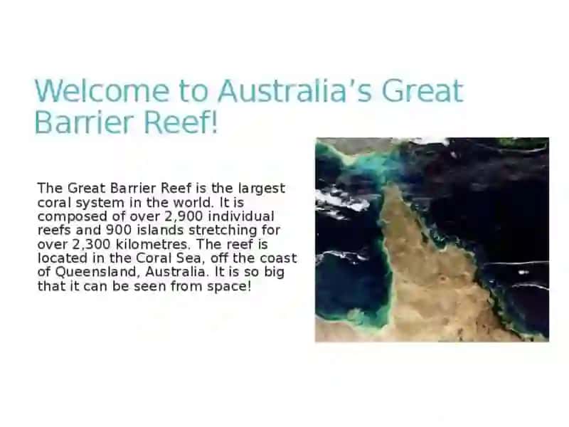 THE GREAT BARRIER REEF 2