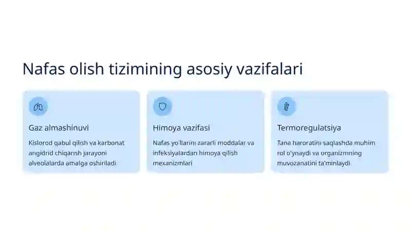 Nafas olish tizimini ko'zdan kechirish: Ko'krak qafasi shakllari va nafas turlari 2